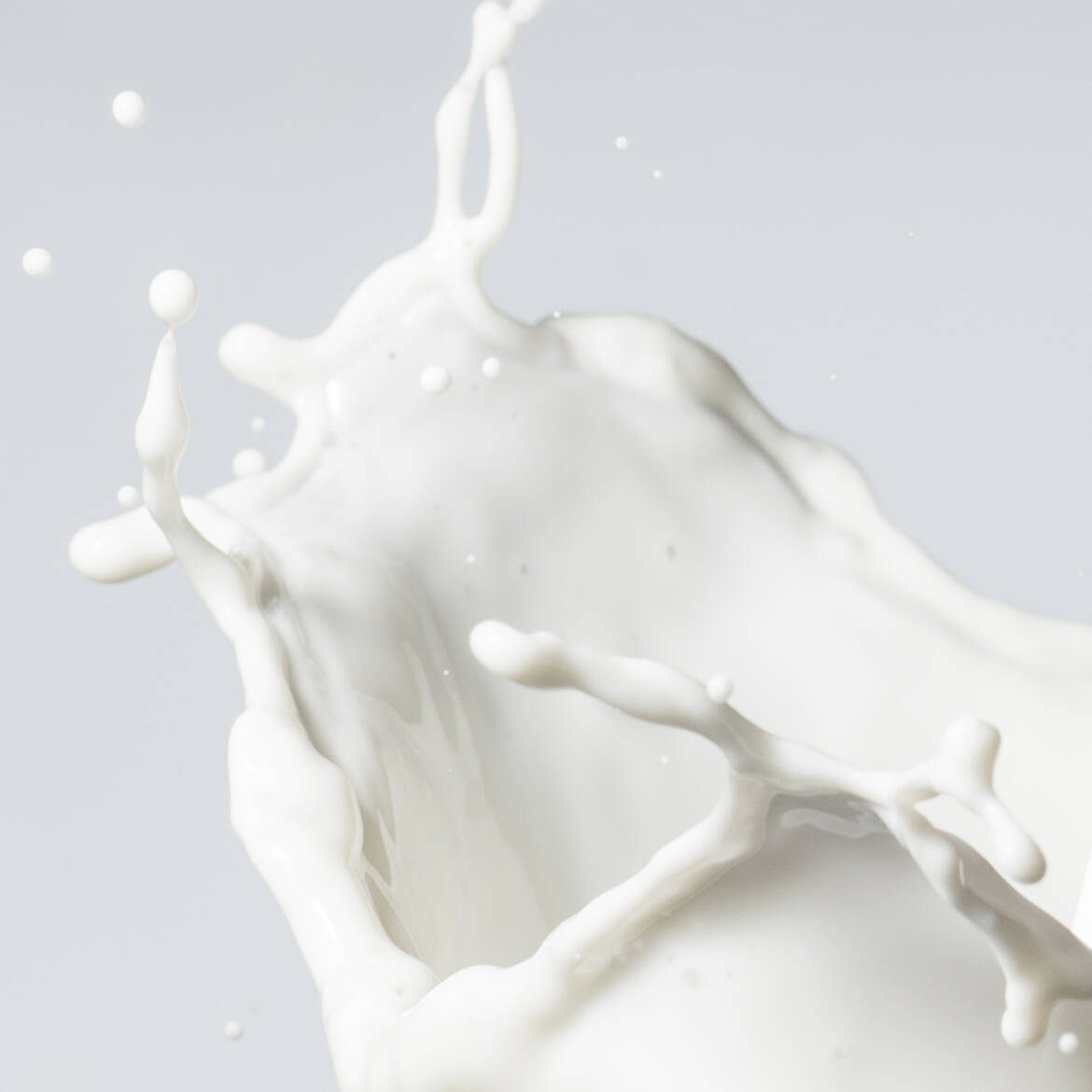 cream-milk.jpg